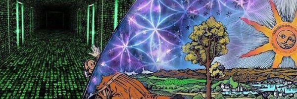 GaViincii Profile Banner