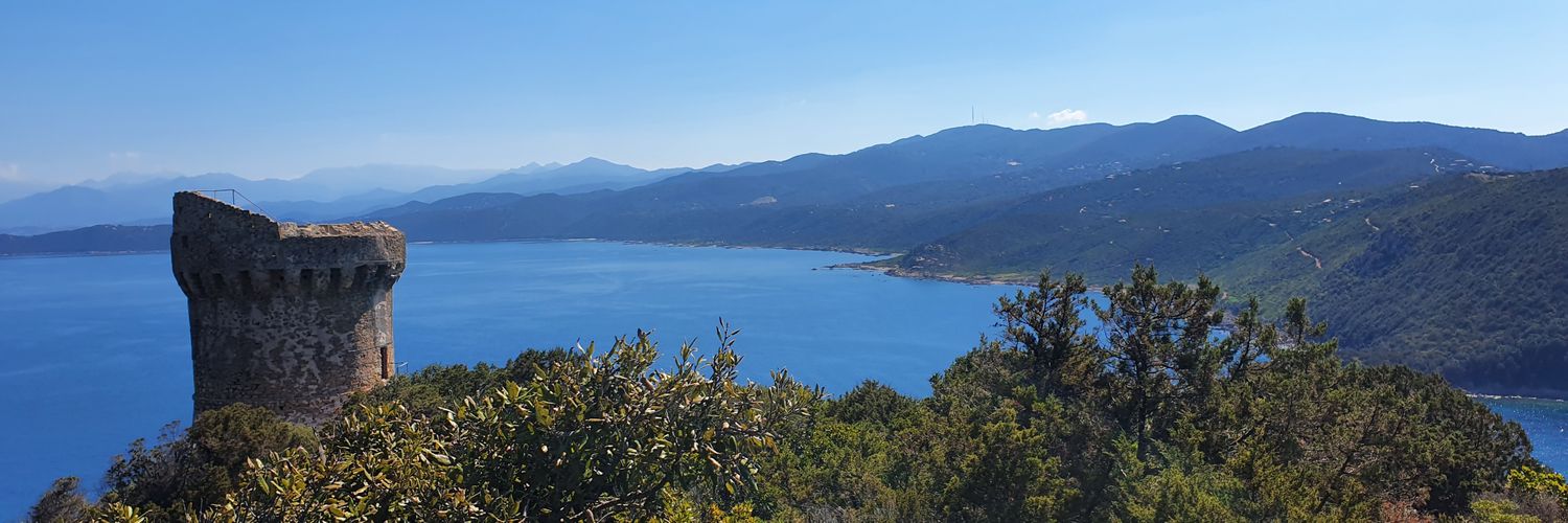 Geoffrey Braye banner