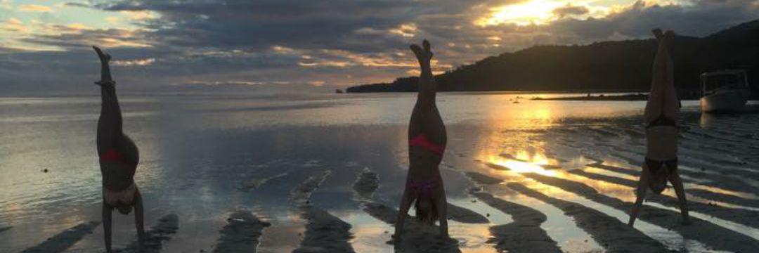 CarlySueTalbot's profile banner image