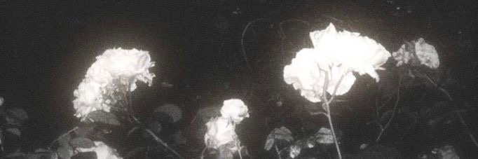 Lexmori13's profile banner image