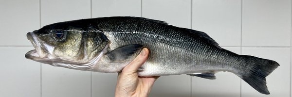 ChefWillH Profile Banner
