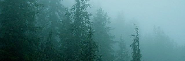 𝐄𝐝𝐰𝐚𝐫𝐝 𝐂𝐮𝐥𝐥𝐞𝐧 banner