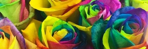 akaBUTT_'s profile banner image