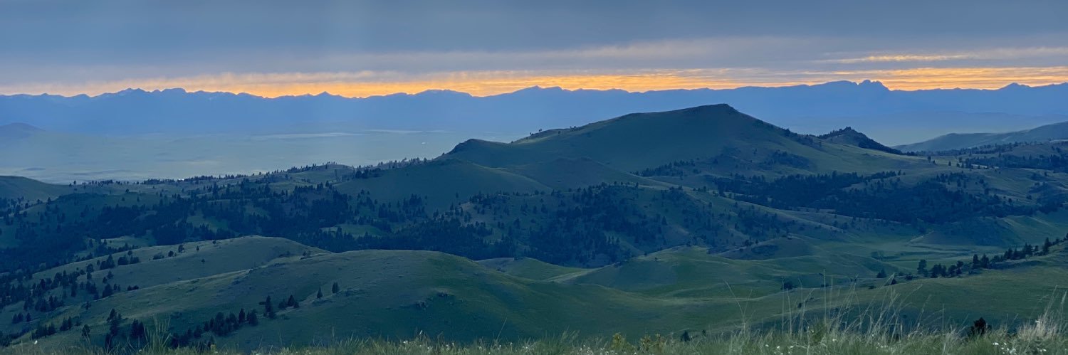 AlexaBasina's profile banner image