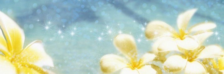 kaden 🥤🏵️ banner
