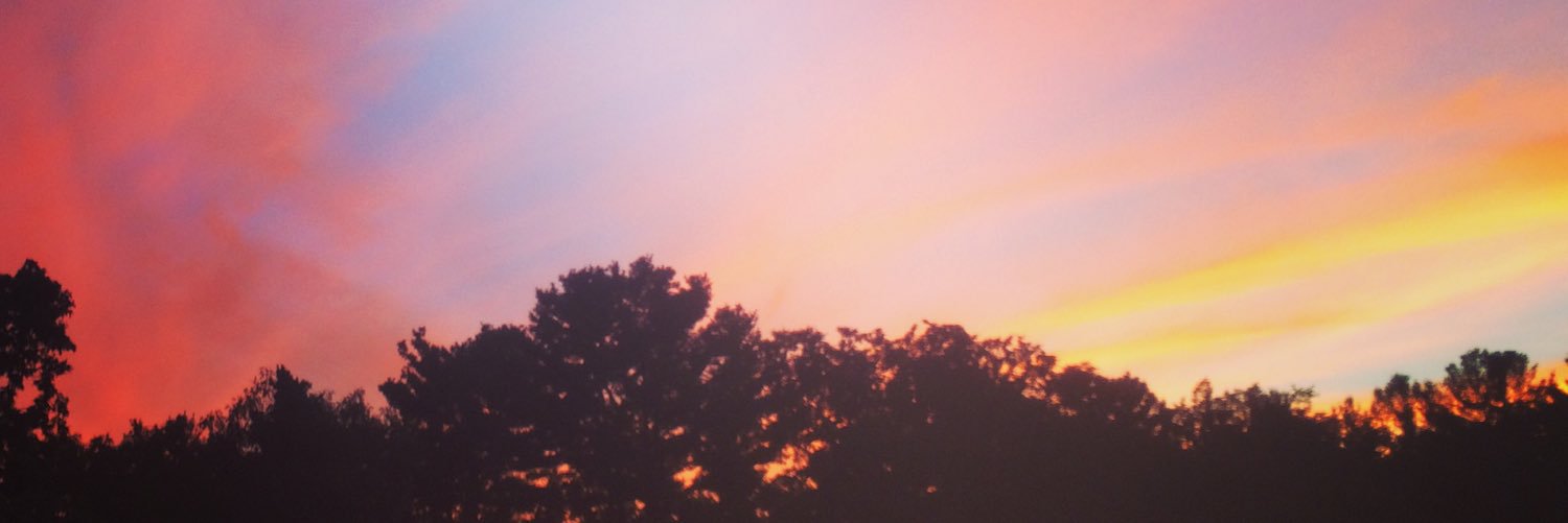 Emily Carey banner
