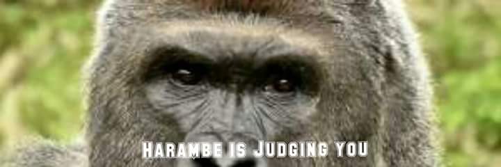 keston fernandez banner