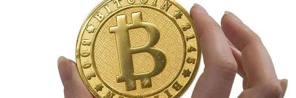 Lisa bitcoin manager Profile Banner