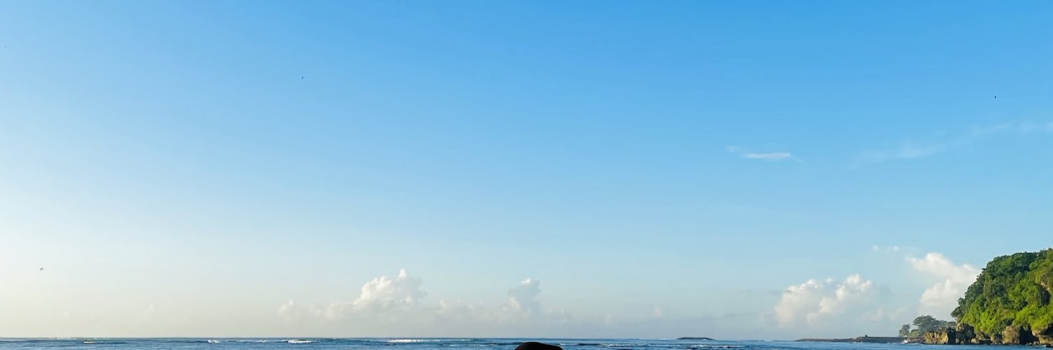 skraullia's profile banner image