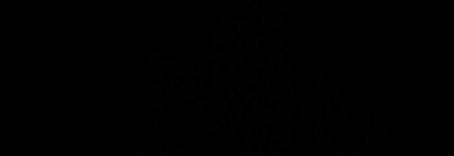 zMaltrs's profile banner image