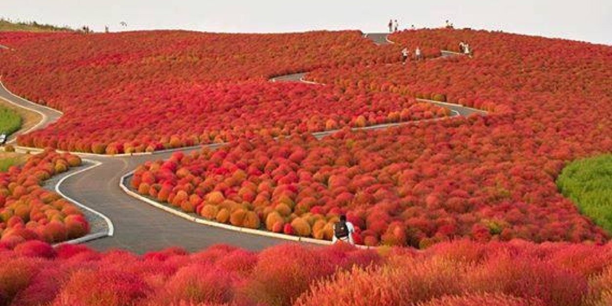 اريج مرادي banner