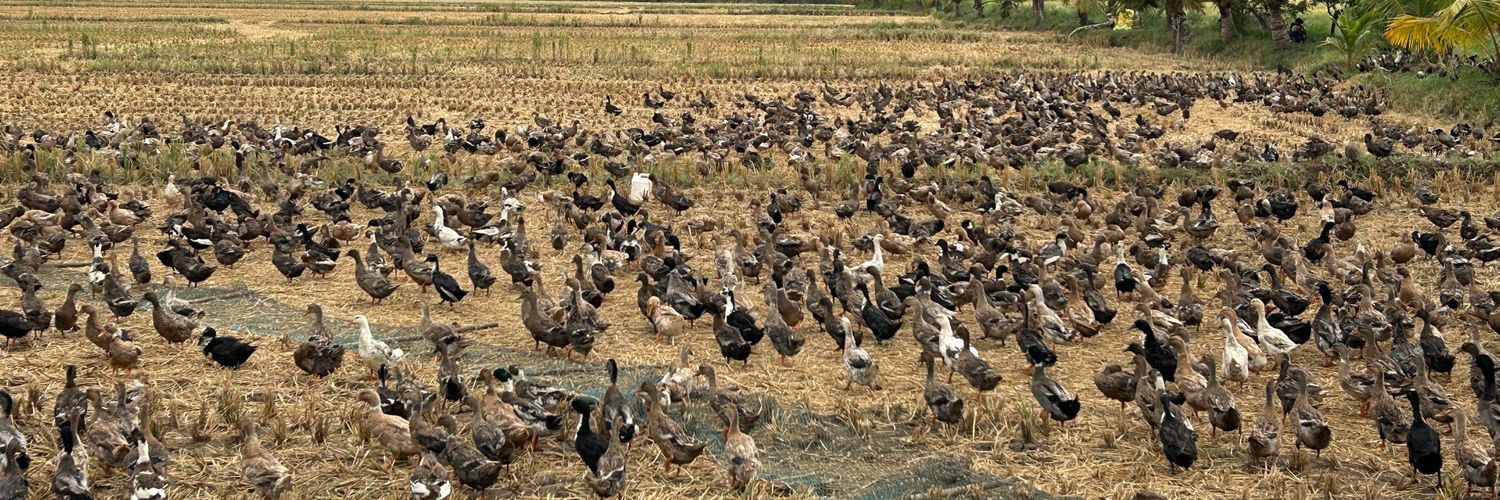 அர்வி 🦆 banner