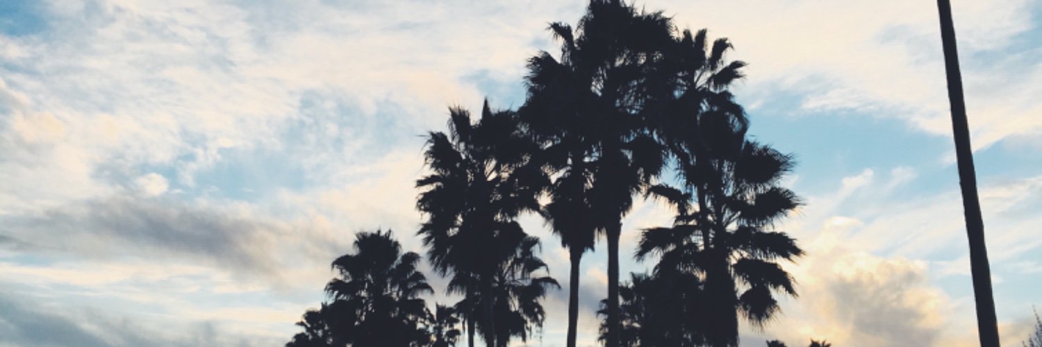 therealbriwad's profile banner image