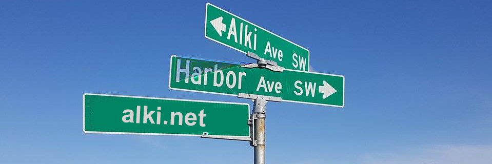 alkinet's profile banner image