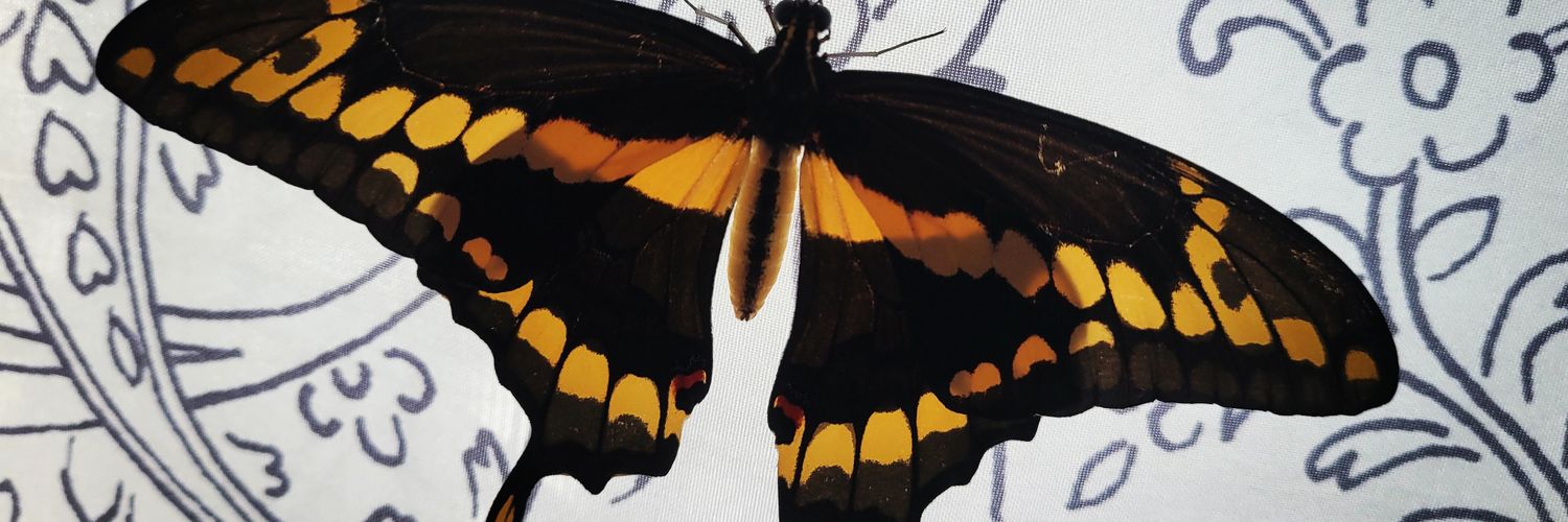 InOtherWordsRM's profile banner image