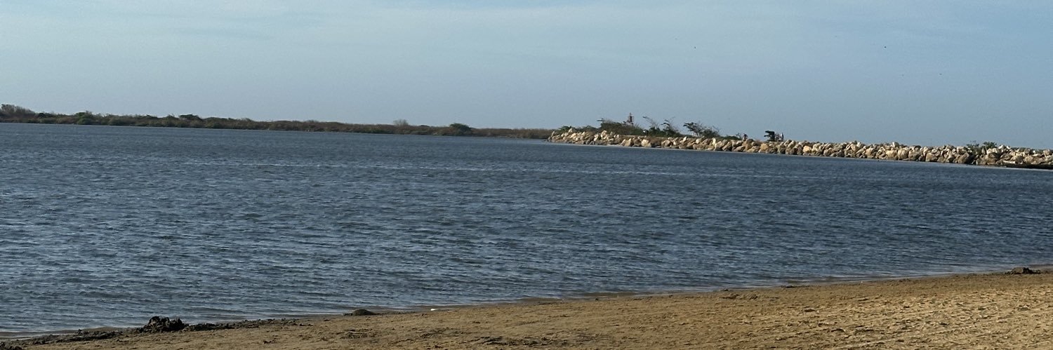 YoliTorress's profile banner image