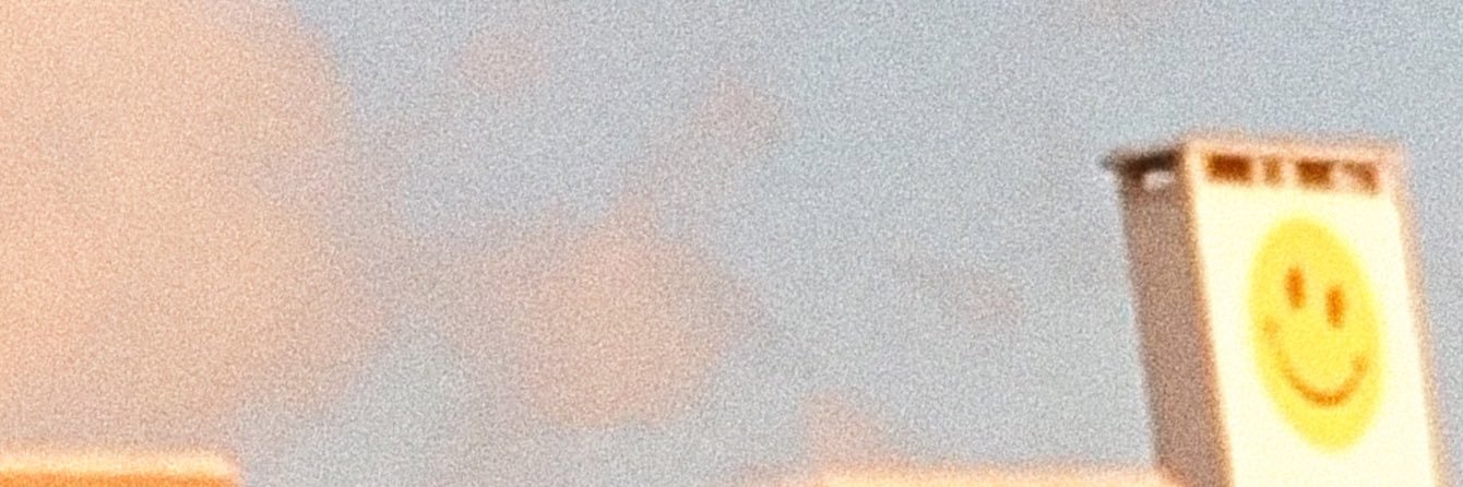 carolinampina's profile banner image