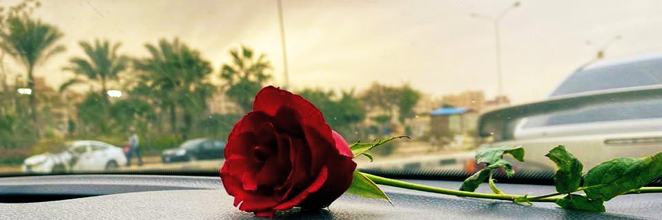 Shorouk 🌻 banner