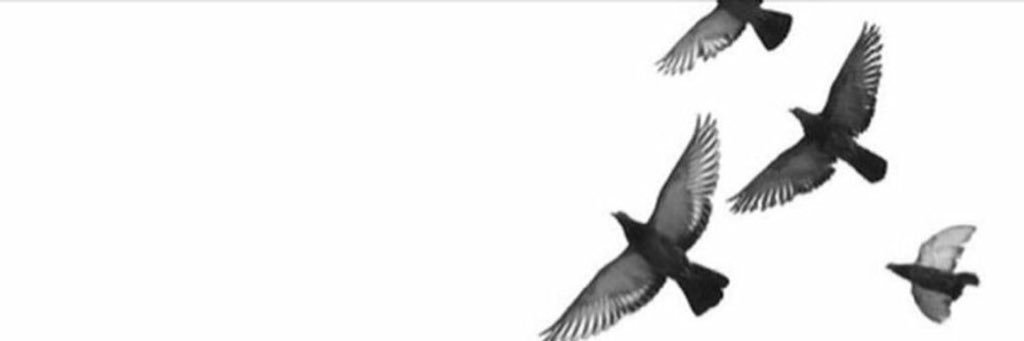 91foofoo91's profile banner image
