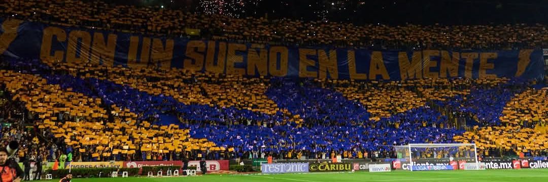XTigres8 banner