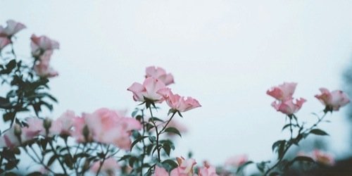 Best Teen Quotes banner