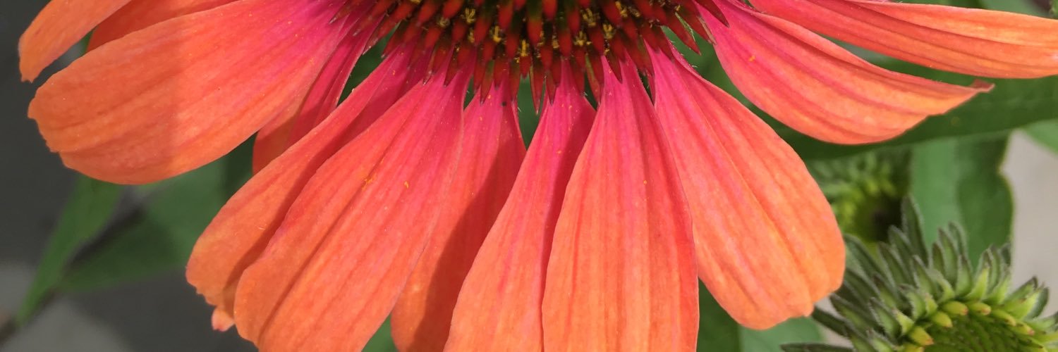 mcleanss's profile banner image