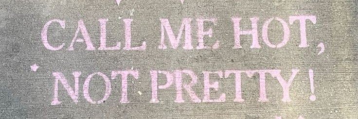 들꽃, banner
