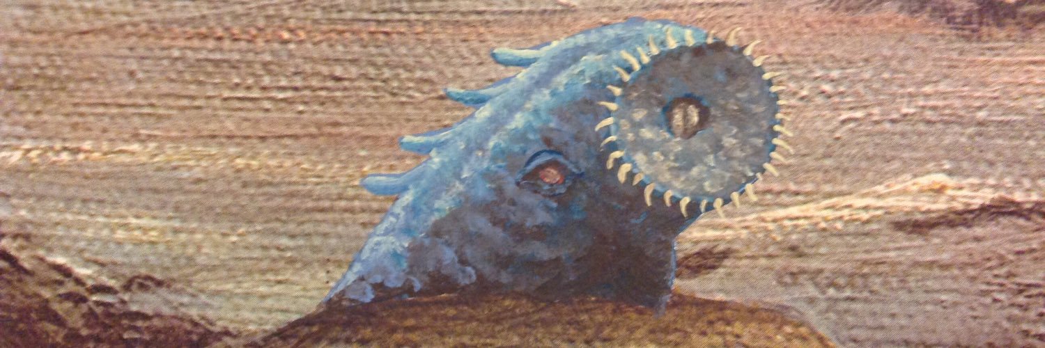 maxwellmama's profile banner image