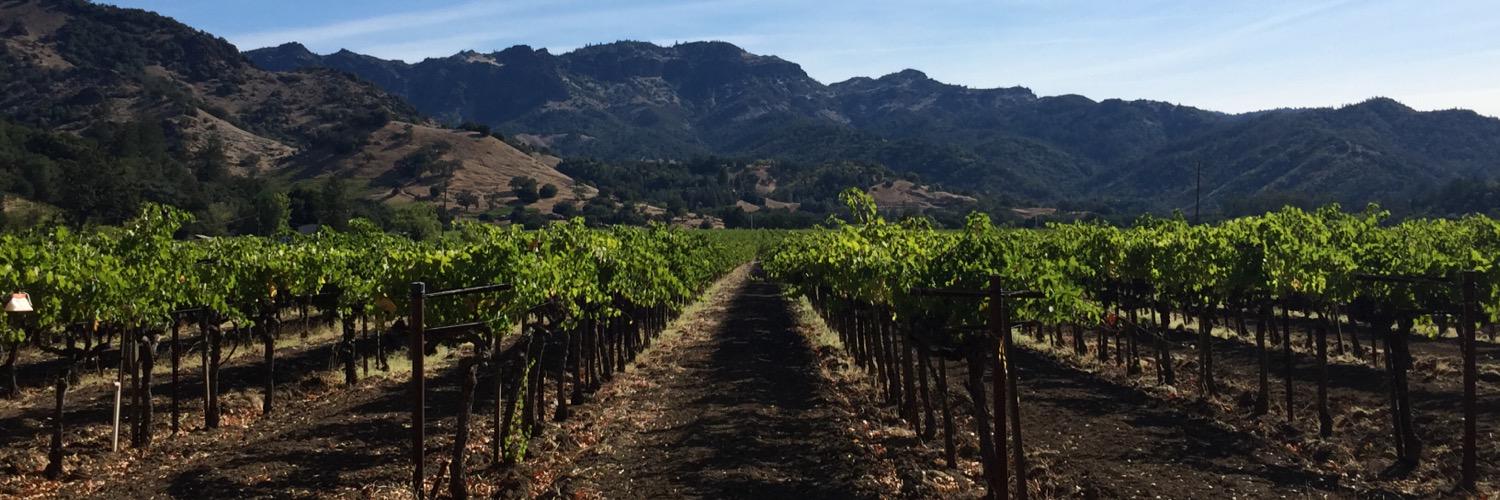 YourSomm's profile banner image