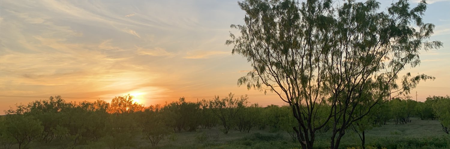 TomWil34's profile banner image