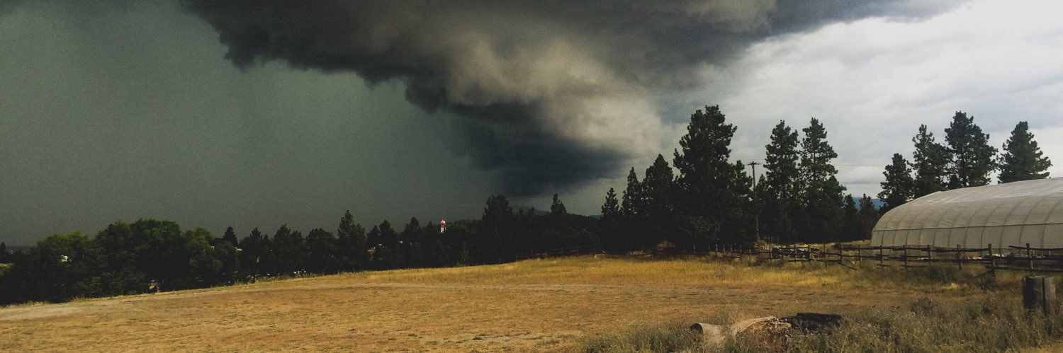 ComradeDogTwist's profile banner image
