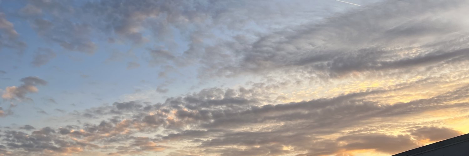 scrawnylonnie's profile banner image