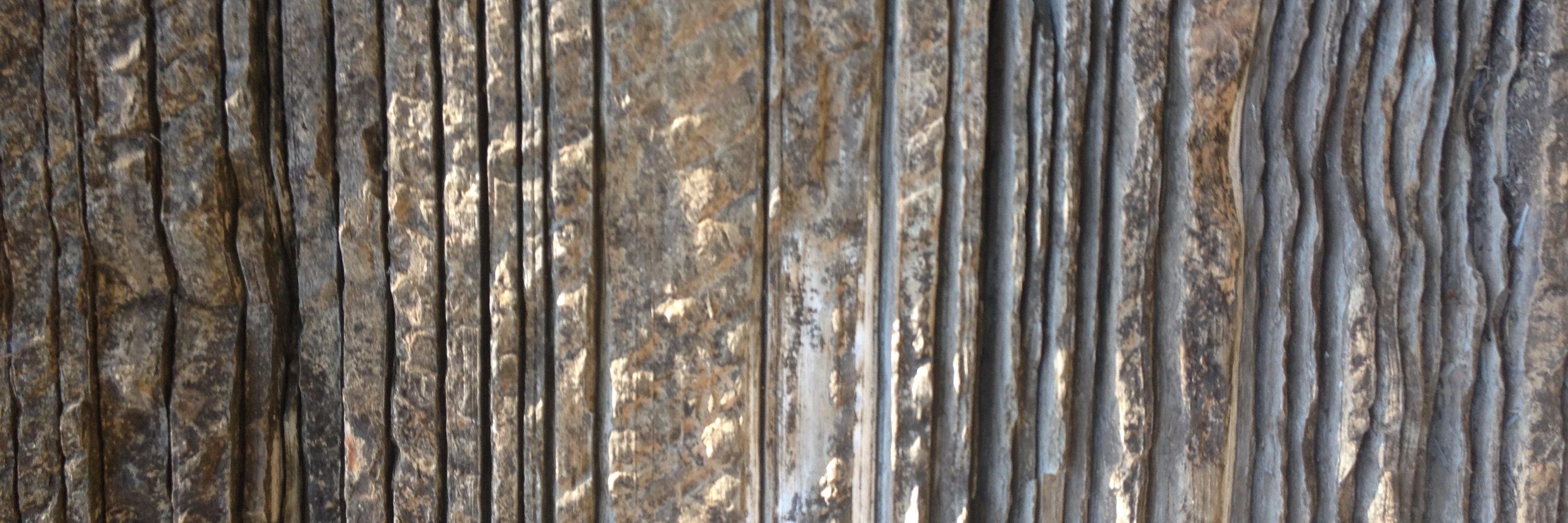 Emer banner
