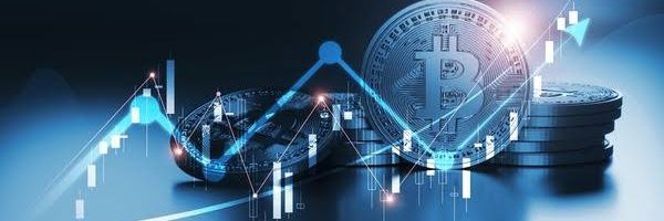 MdShiblyRa33890 Profile Banner