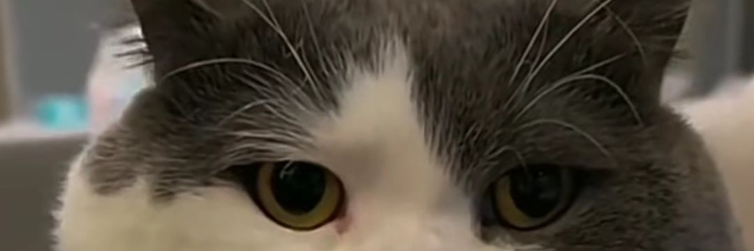 fal_r's profile banner image