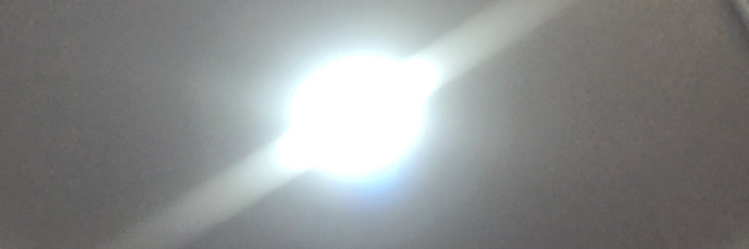 Withthecrown👑 banner