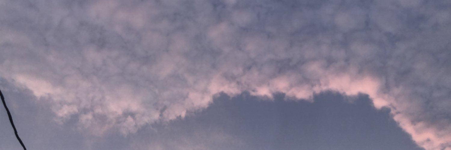 Kelseynicolio's profile banner image