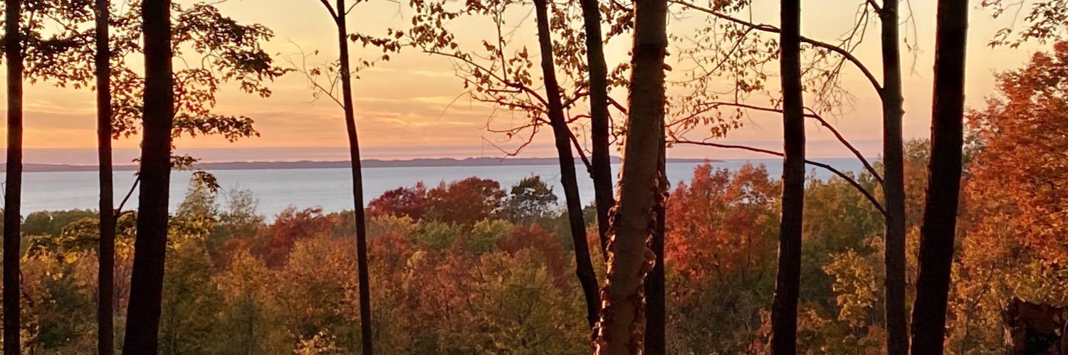 AmyKMurray's profile banner image