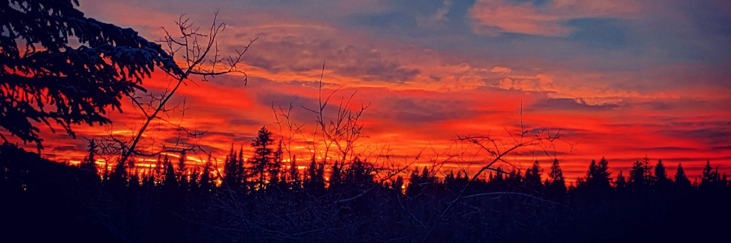 TimberGrlonFire banner