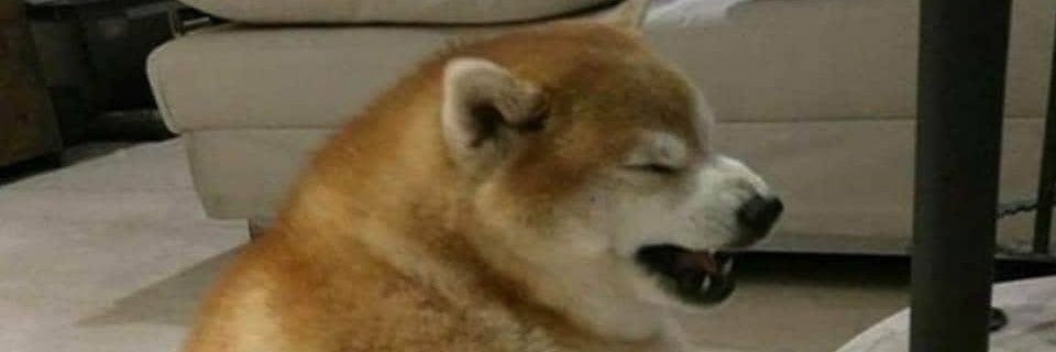 Imcrazies's profile banner image