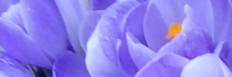 JerryDavis52's profile banner image