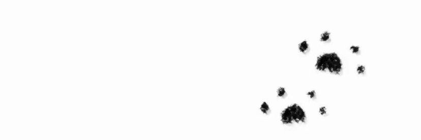 Ludenc96's profile banner image