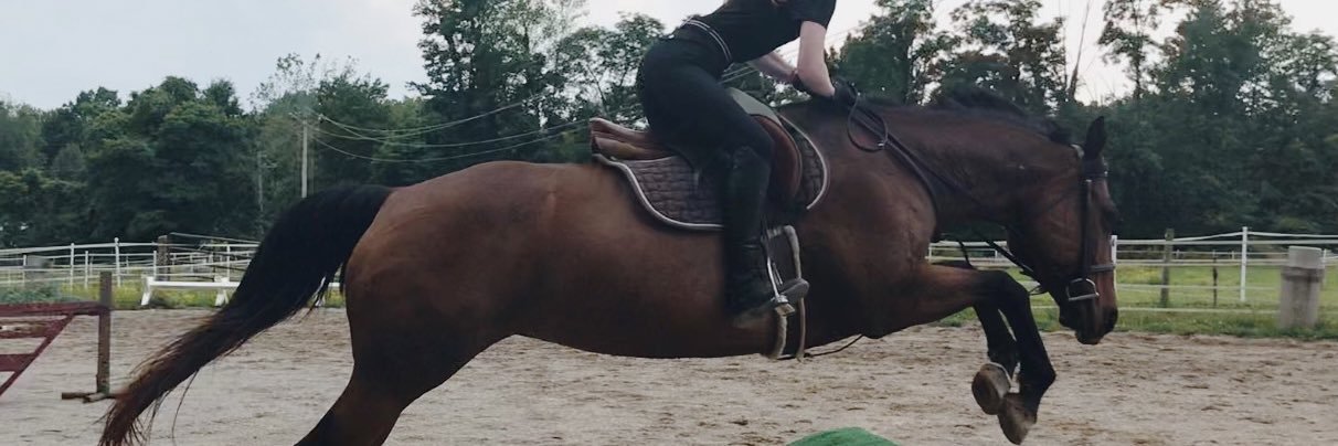 allisonbakr's profile banner image