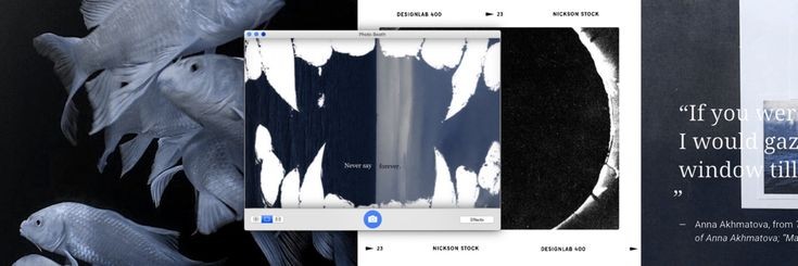 guesswho✮⋆˙ banner