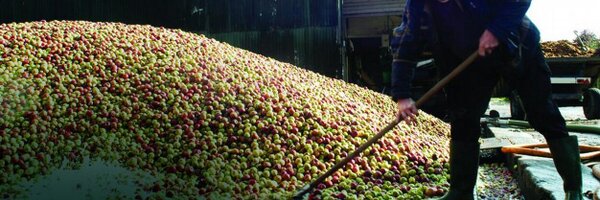 nwciderguide Profile Banner