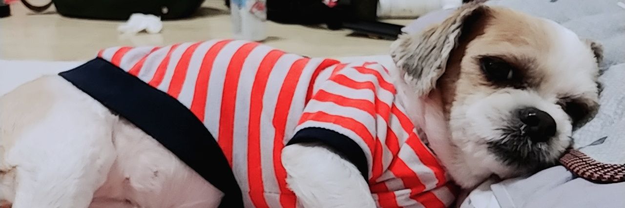 always_himshow's profile banner image