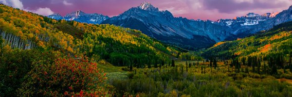 tag8675309 Profile Banner