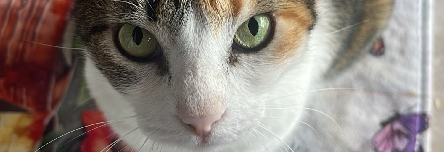 JanyGo's profile banner image