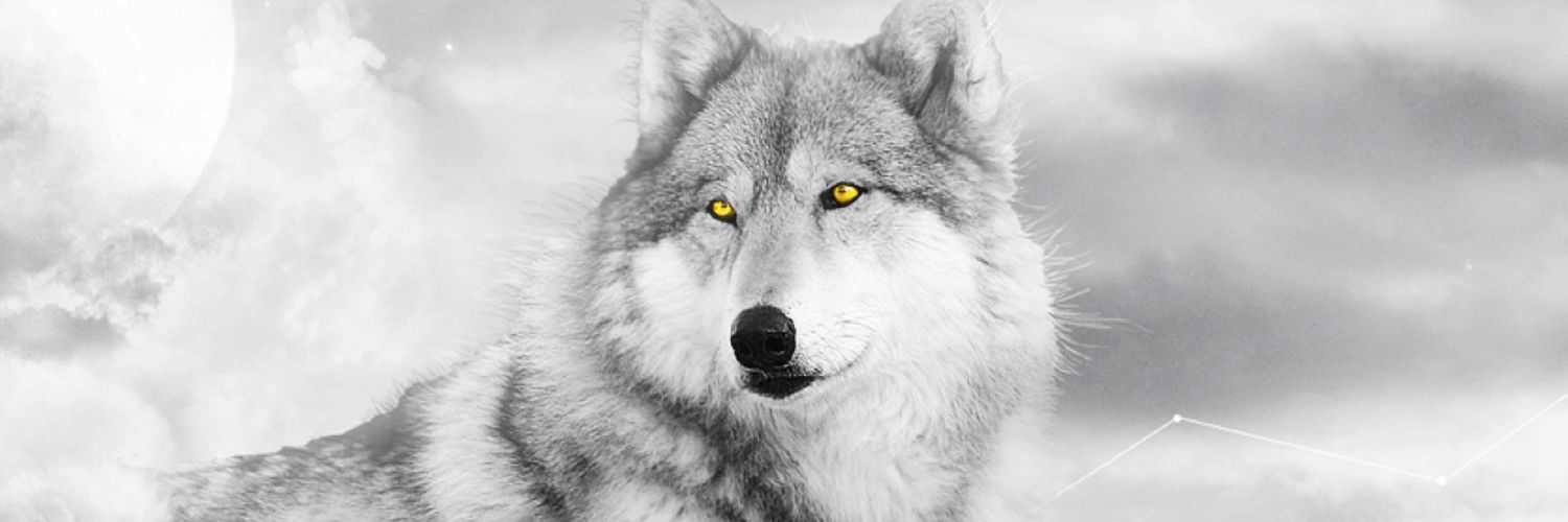 m_trcka's profile banner image