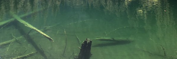 Shayhanzo Profile Banner